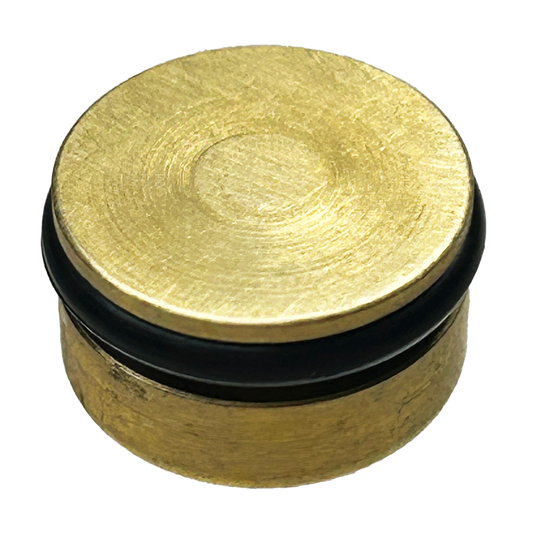 Plug SST - 1/8" MPT HEX Socket