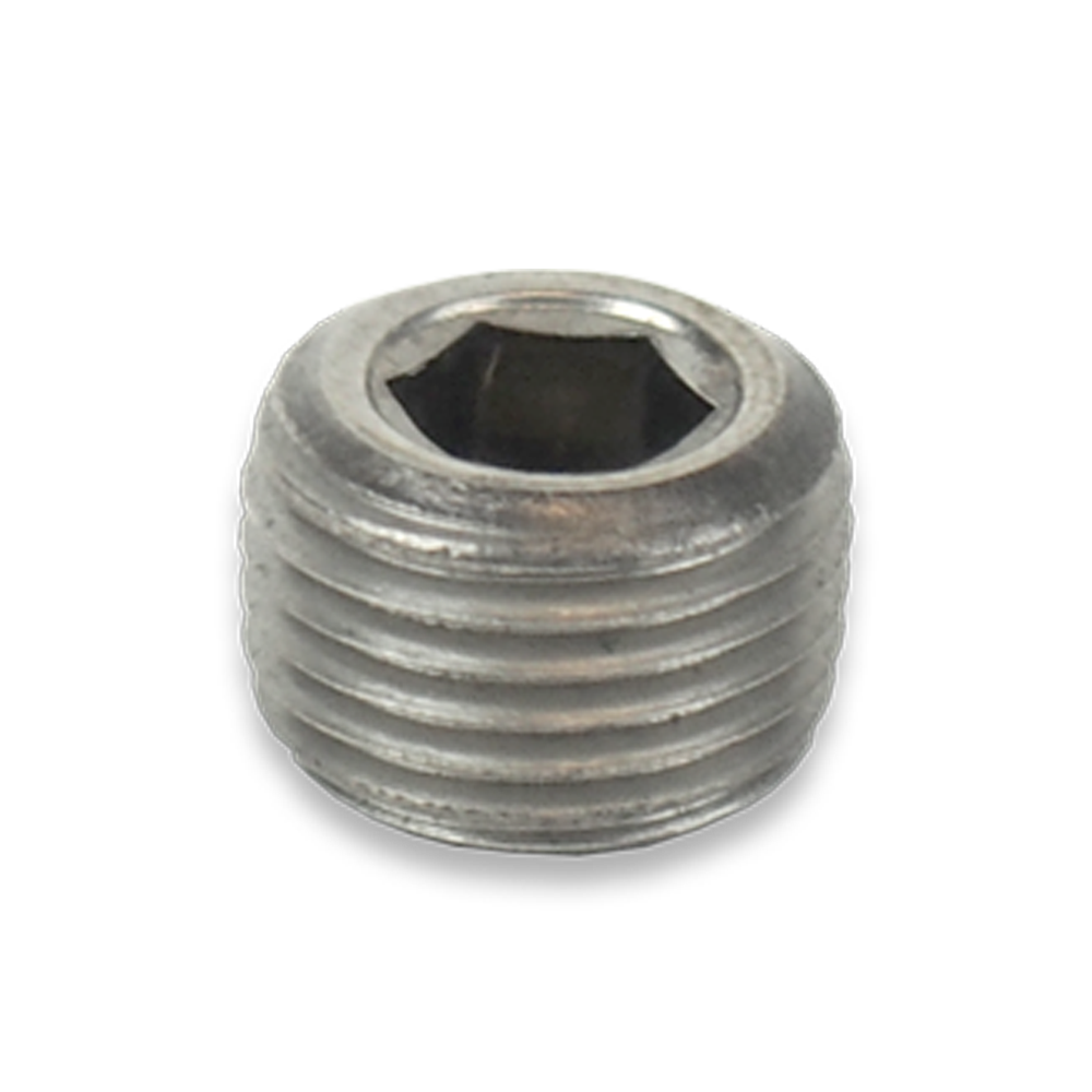 Plug SST - 1/8" MPT HEX Socket