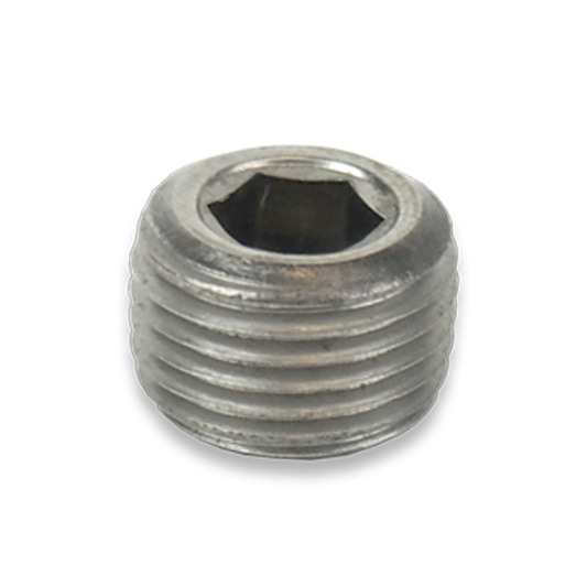 Plug SST - 1/8" MPT HEX Socket